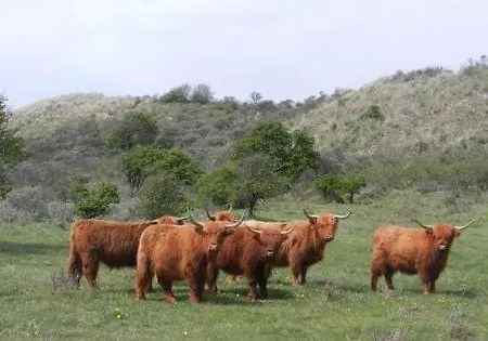 Nyaraló Het Vossenhol Strategisch Tussen En Duin