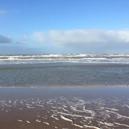 Het Vossenhol Strategisch Tussen En Duin