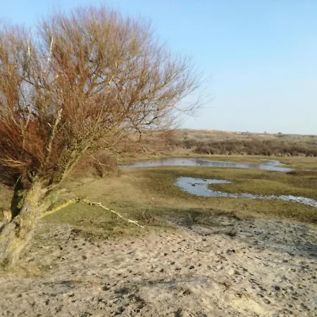 Het Vossenhol Strategisch Tussen En Duin Nyaraló