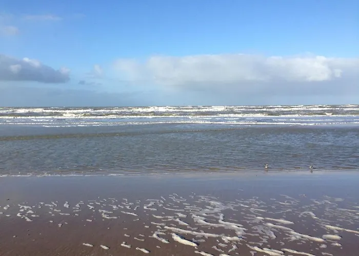 Het Vossenhol Strategisch Tussen En Duin