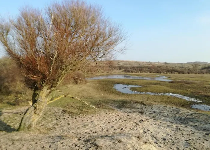 Het Vossenhol Strategisch Tussen En Duin Dom wakacyjny